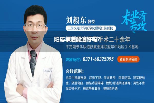 如何拯救男性早些泄能治好吗(男性阳痿早泄如何变经久男性阳痿早泄如